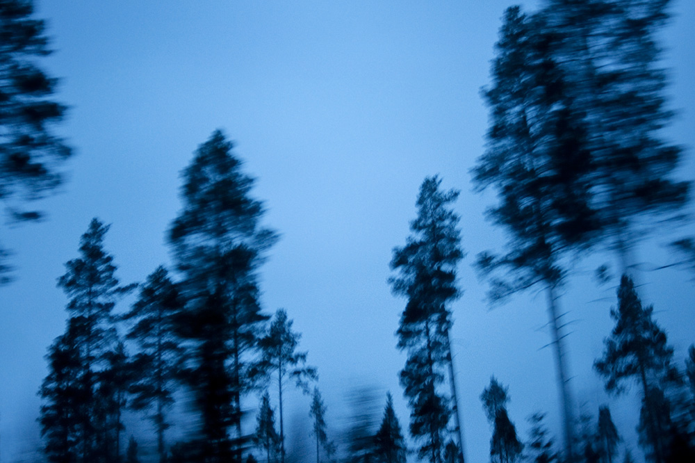 Västerbotten 2011